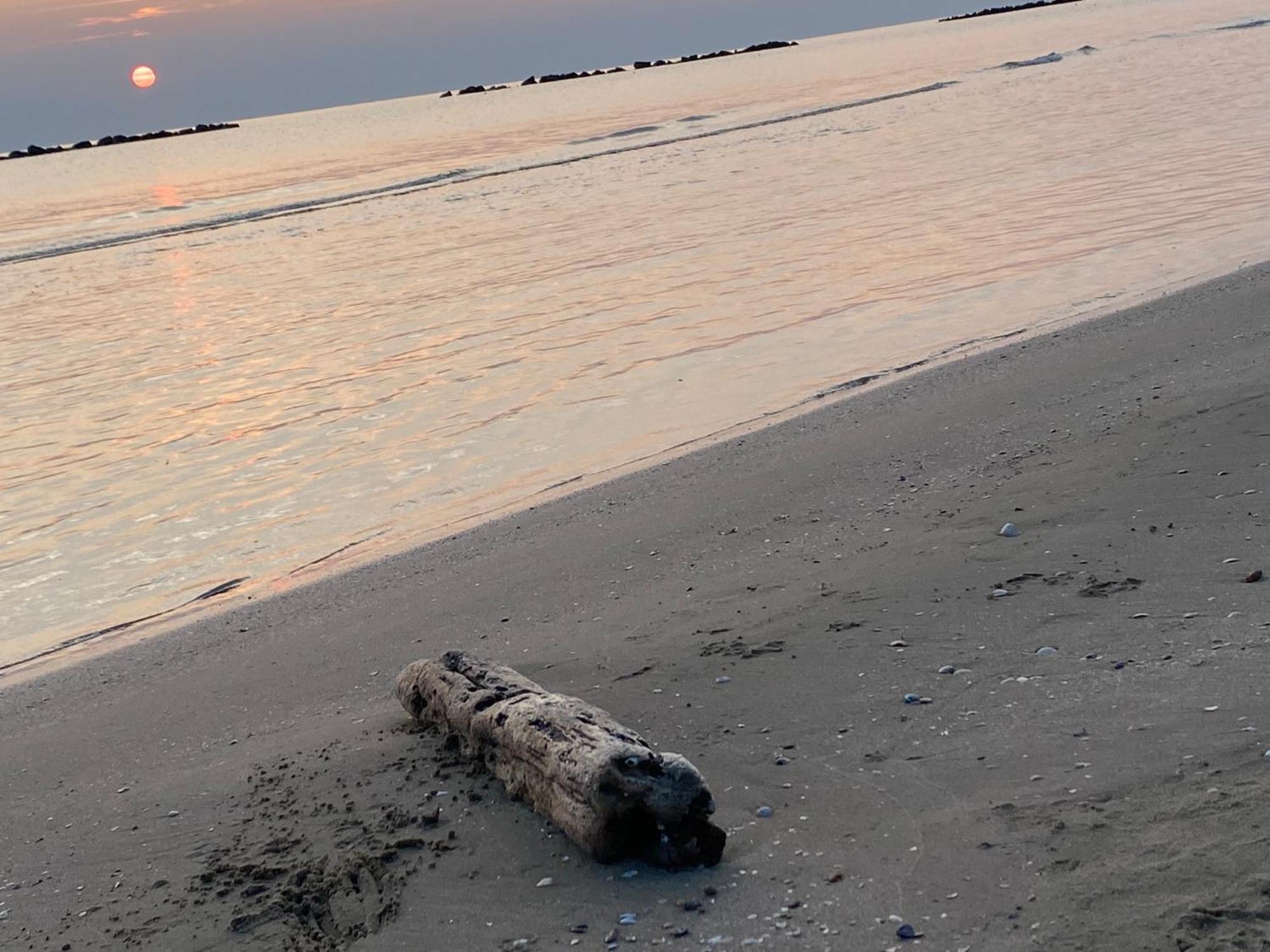 Appartamento Seta Luxury Roseto Degli Abruzzi Esterno foto
